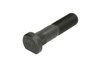 surub roata S-TR STR-40102