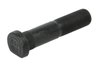 SURUB ROATA S-TR STR-40110 - Compatibil cu IVECO