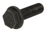 Bolt roata S-TR STR-40325