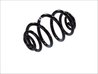 Arc suspensie Magnum Technology SW071MT