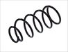 ARC SUSPENSIE MAGNUM TECHNOLOGY SZ1075MT - Compatibil cu NISSAN