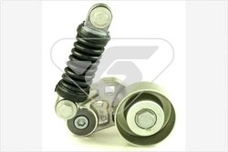 Rola intinzator curea transmisie Hutchinson T1009