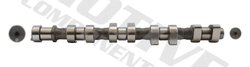 Ax cu came MOTIVE T1954