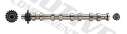 Ax cu came MOTIVE T1958
