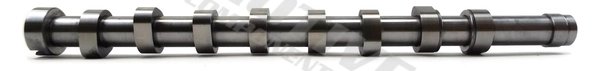 Ax cu came MOTIVE T1965
