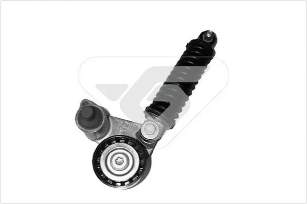 Rola intinzator curea transmisie Hutchinson T2056