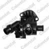 Termostat lichid racire Calorstat by Vernet TE6842.100J