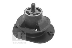 Suport motor Tedgum TED40521