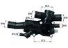 TERMOSTAT LICHID RACIRE MAHLE TH 44 83 - Compatibil cu CITROEN, FIAT, FORD, LANCIA, PEUGEOT, VOLVO