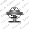 Termostat lichid racire Calorstat by Vernet TH1533.88J