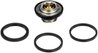 TERMOSTAT LICHID RACIRE GATES TH28592G1 - Compatibil cu BEDFORD, CHEVROLET, DAEWOO, FORD, FORD USA, OPEL, VAUXHALL