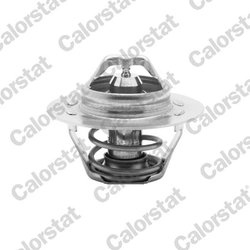 Termostat lichid racire Calorstat by Vernet TH5108.83J