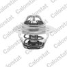 Termostat lichid racire Calorstat by Vernet TH5108.89J