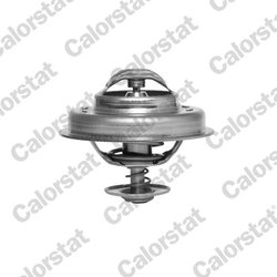 Termostat lichid racire Calorstat by Vernet TH5231.83J