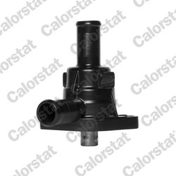 Termostat lichid racire Calorstat by Vernet TH5309.84J
