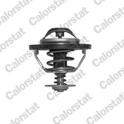 Termostat lichid racire Calorstat by Vernet TH5353.83J