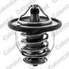 Termostat lichid racire Calorstat by Vernet TH5434.88J
