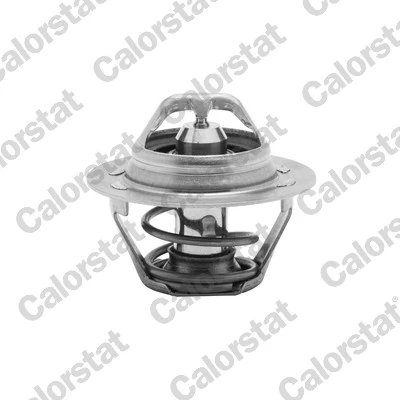 Termostat lichid racire Calorstat by Vernet TH6047.83J