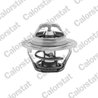 Termostat lichid racire Calorstat by Vernet TH6047.83J