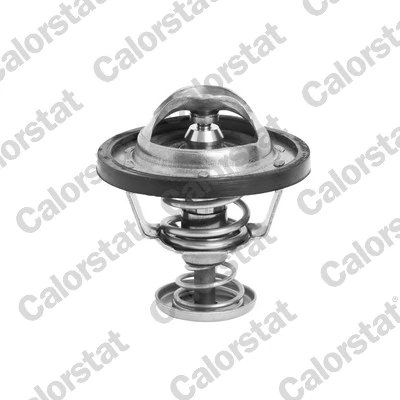 Termostat lichid racire Calorstat by Vernet TH6295.76J