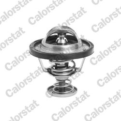 Termostat lichid racire Calorstat by Vernet TH6295.88J