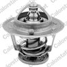 Termostat lichid racire Calorstat by Vernet TH6314.76