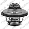 Termostat lichid racire Calorstat by Vernet TH6533.92J
