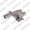 Termostat lichid racire Calorstat by Vernet TH6590.88J