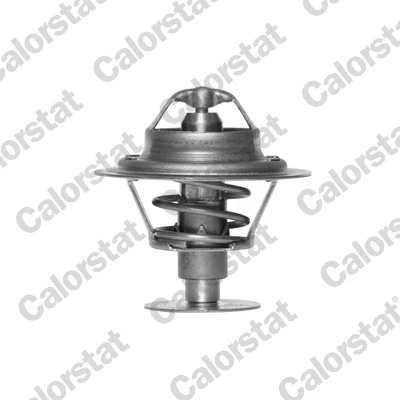 Termostat lichid racire Calorstat by Vernet TH6593.82