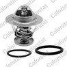 Termostat lichid racire Calorstat by Vernet TH7253.88J