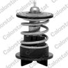 Termostat lichid racire Calorstat by Vernet TH7272.89