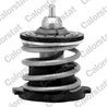 Termostat lichid racire Calorstat by Vernet TH7274.80