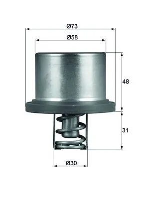 TERMOSTAT LICHID RACIRE MAHLE THD 2 89 - Compatibil cu PORSCHE