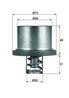 TERMOSTAT LICHID RACIRE MAHLE THD 2 89 - Compatibil cu PORSCHE
