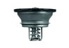 Termostat lichid racire MAHLE THD 3 76
