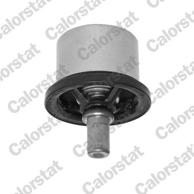 Termostat lichid racire Calorstat by Vernet THS19054.86