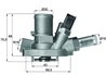 Termostat lichid racire MAHLE TI 147 80