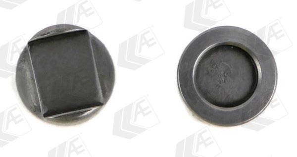 Piese apasare, supapa admisie/evacuare AE TTP4