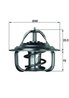 Termostat lichid racire MAHLE TX 1 92D