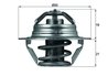 Termostat lichid racire MAHLE TX 100 89D