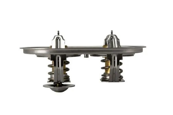 Termostat lichid racire MAHLE TX 105