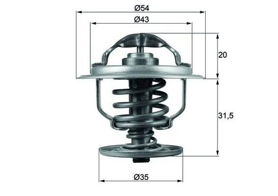 Termostat lichid racire MAHLE TX 109 87D