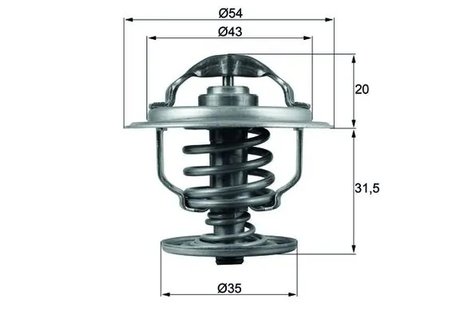 Termostat lichid racire MAHLE TX 109 87D