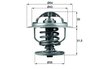 Termostat lichid racire MAHLE TX 109 87D