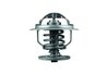 Termostat lichid racire MAHLE TX 109 87D