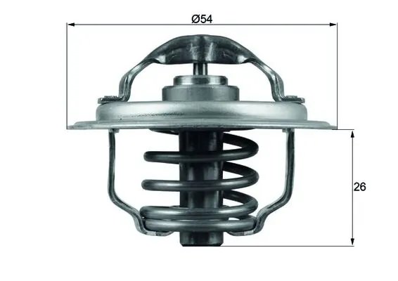 Termostat lichid racire MAHLE TX 111 87D