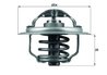 Termostat lichid racire MAHLE TX 111 87D