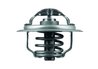 Termostat lichid racire MAHLE TX 111 87D