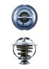 Termostat lichid racire MAHLE TX 123 95D