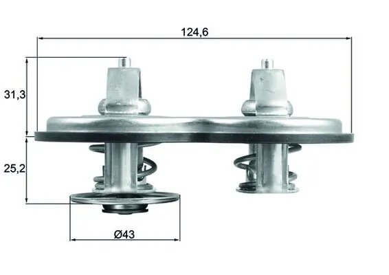 Termostat lichid racire MAHLE TX 141 83